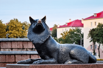 психолог в городе Волковыск